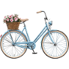 Bicycle with flower basket