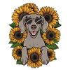 Weimaraner Dog with Sunflowers
