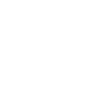 Grizzly bear cub