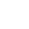 Grizzly bear cub