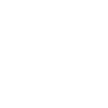 Grizzly bear cub
