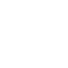 Grizzly bear cub