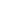 Raccoon