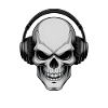 Skull Headphones DJ