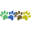 Dog paws