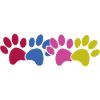 Dog paws