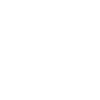 Netball Champions