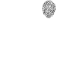 Cat celebrates birthday