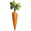 Carrot, carrot