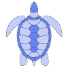 TORTUGA
