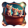 Cute kittens