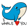 « Je t’aime » Baleine bleue joyeuse