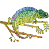 Chameleon