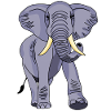 Elefant