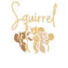 Cute Squirrel squad