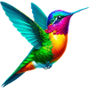 Hummingbird