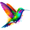 Hummingbird