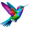 Hummingbird