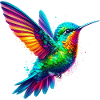Colibri