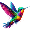 Hummingbird