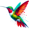 Hummingbird