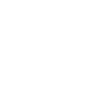 Influenceur, Motivateur, Éducateur