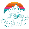 Passo dello Stelvio Road Bike Italy