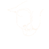 cat face graphic design
