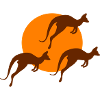 Kangaroo
