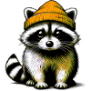 Raccoon