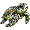 Turtle