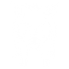 Wild boar