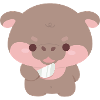 Fight Me Moo Deng Hippo