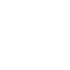 Termites