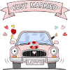 Just married Wedding Car Pink