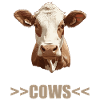 Vaches Vache