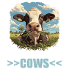 Cows Cow