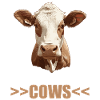 Vaches Vache