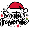 Santa's Favorite Santa Hat