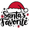Santa's Favorite Santa Hat
