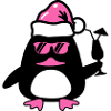 Noël du canard de plage
