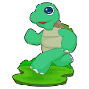 Turtle Jogger Jogging Sport