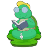Turtle Nerd Book Glasses
