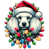 Pudel Hund Weihnachtsmütze Xmas