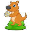 Kangaroo Volleyball Player Volleyball