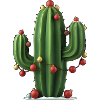cactus noël
