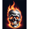 A skull on fire