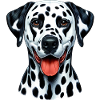 Dalmatian Dog