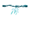 Ästhetische Quallen Aesthetic Jellyfish