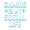 Introverted Gamer Declarer Calm